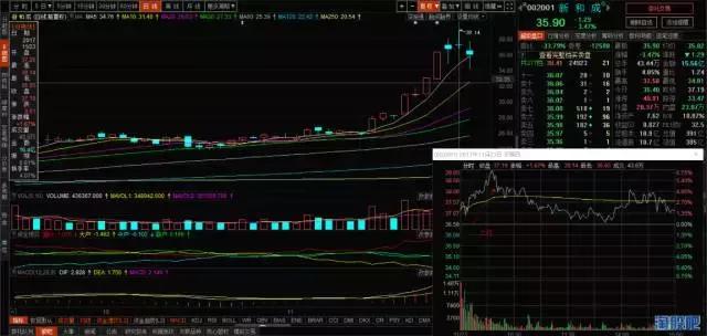 冠福最新动态全面解析