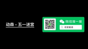 澳门正版资料免费大全新闻,灵活操作方案_经典款21.240