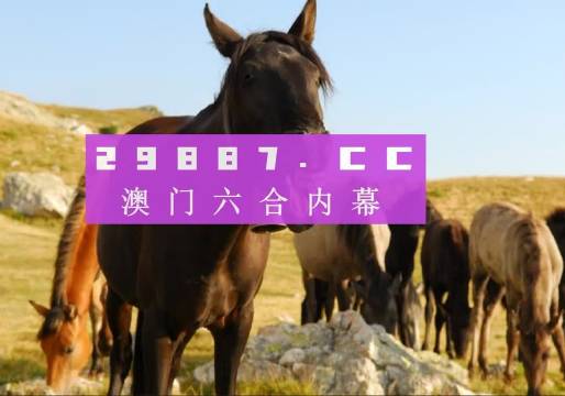 澳门管家婆一肖一码一中一,经典说明解析_RX版38.924