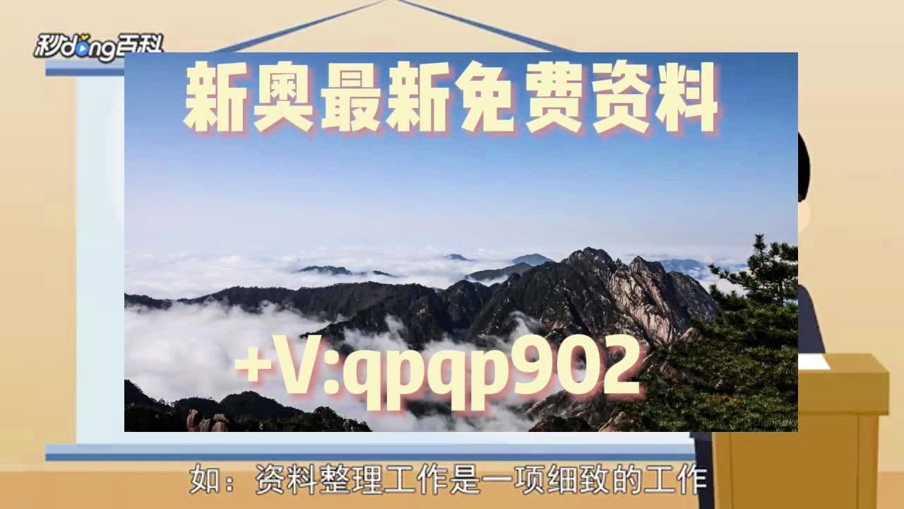 2024新澳正版免费资料大全,全面理解执行计划_Superior26.883