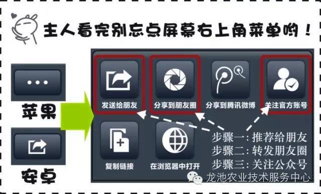 626969澳彩资料大全2020期 - 百度,重要性解释落实方法_精装款11.178